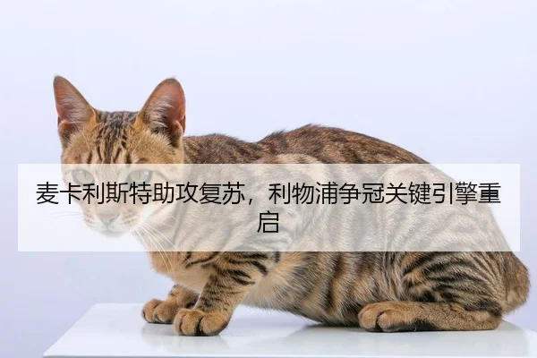 麦卡利斯特助攻复苏，利物浦争冠关键引擎重启