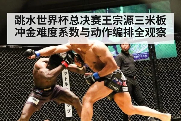跳水世界杯总决赛王宗源三米板冲金难度系数与动作编排全观察